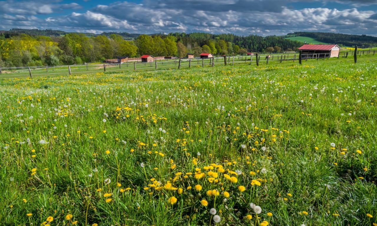 Gasthuis Ranch Jestrebice *
